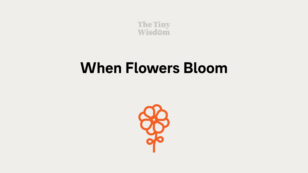 When flowers bloom