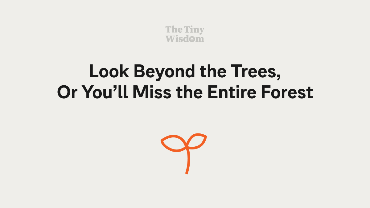 Look Beyond the Trees, Or You’ll Miss the Entire Forest