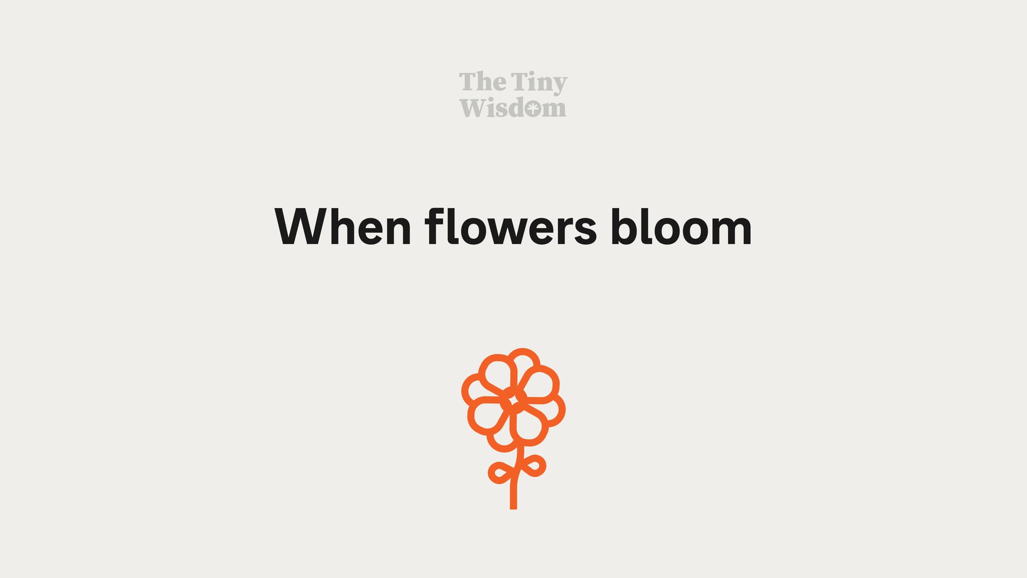 When flowers bloom