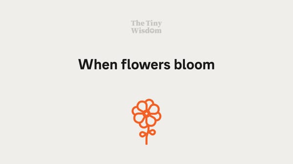 When flowers bloom